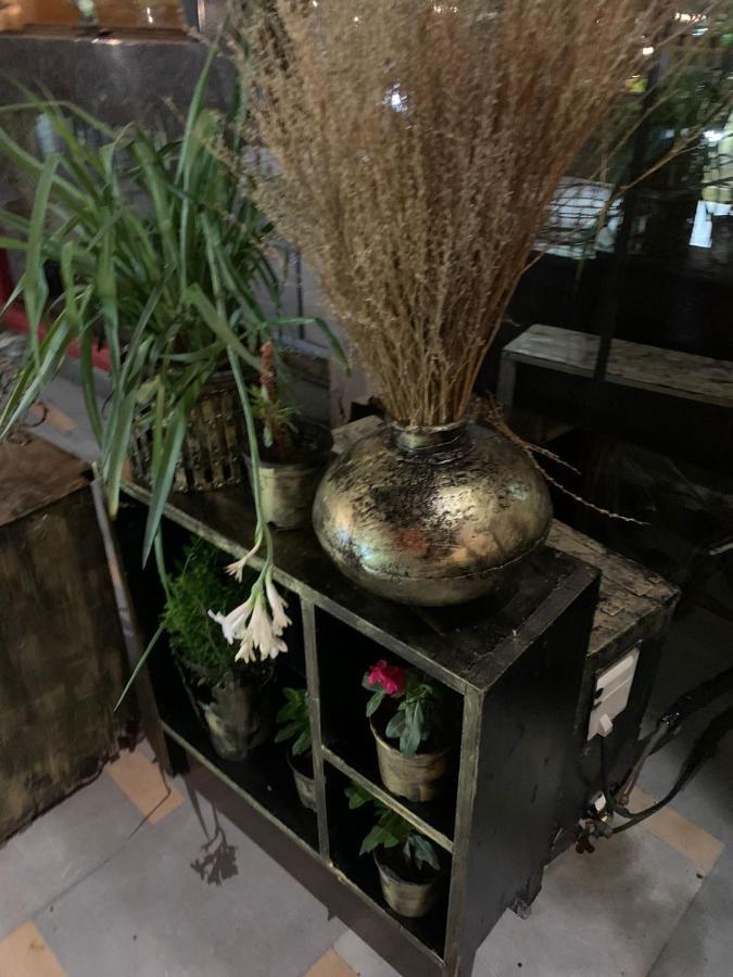 Zenith Hotel - Delhi Airport Нью-Дели Экстерьер фото